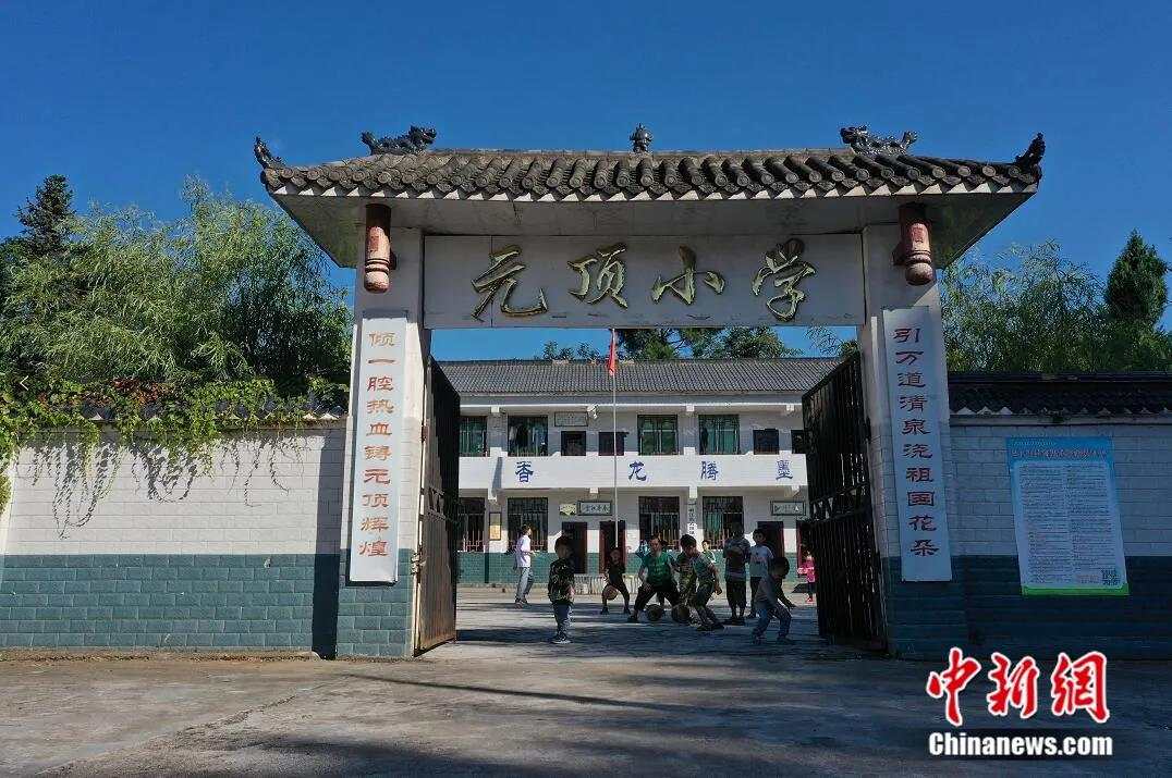 纸托盘