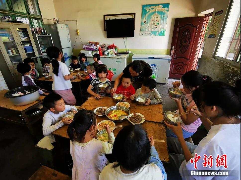 纸托盘