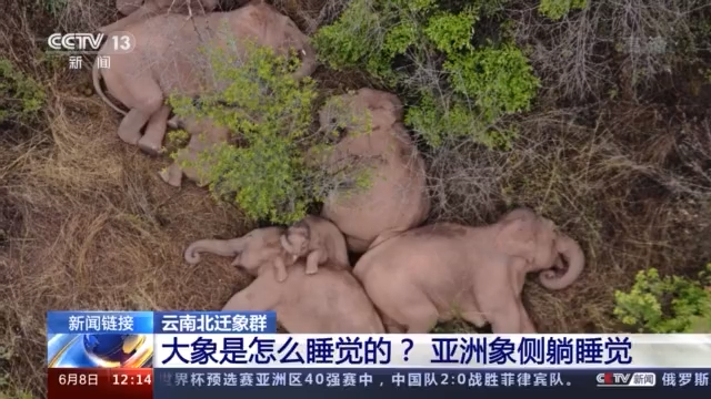纸托盘